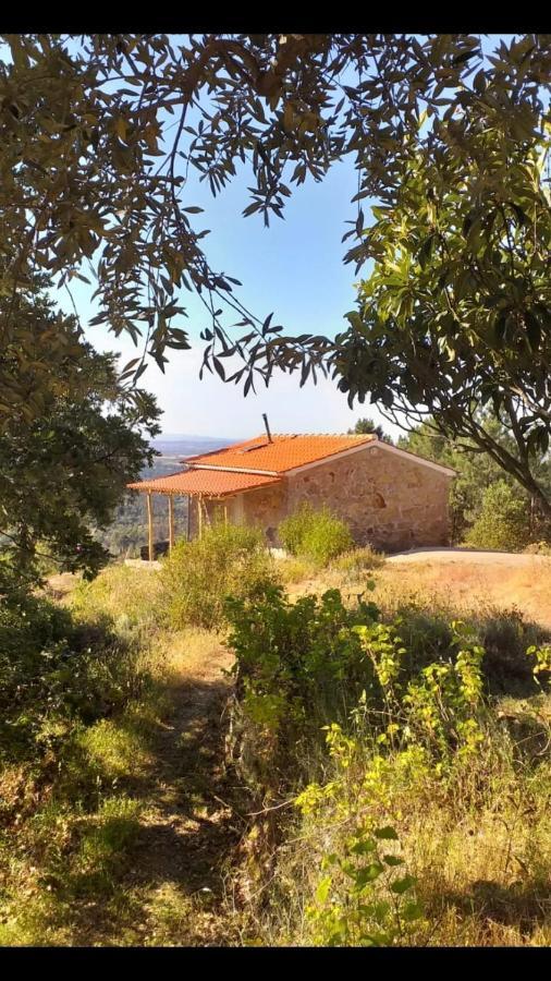Гостьовий будинок Quinta Da Barroquinha Vale de Prazeres Екстер'єр фото